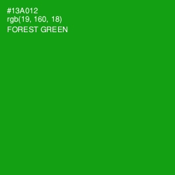 #13A012 - Forest Green Color Image